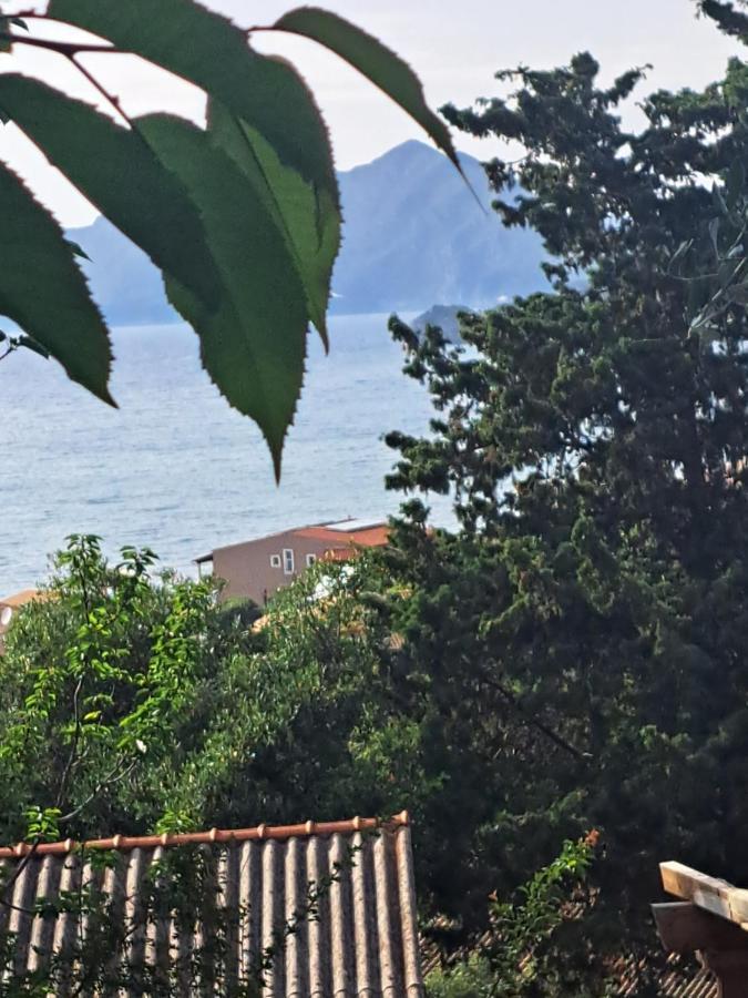 Green Rock - Gardens, Playground And Close To Beach! Villa